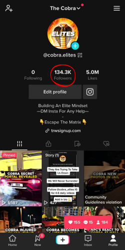 TikTok — @cobra.elites — archived screenshot