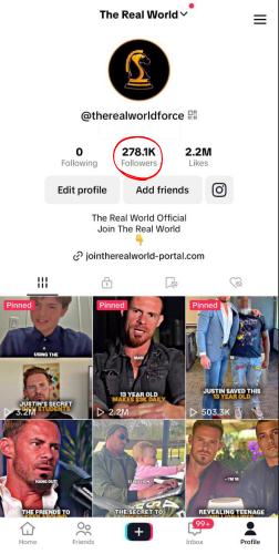 TikTok — @therealworldforce — archived screenshot