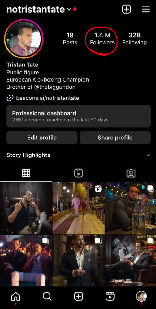 Archive Instagram profile @notristantate showing 1.4M followers and 2.6M accounts reached
