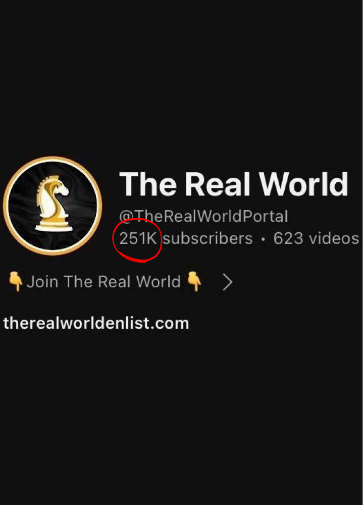 The Real World YouTube channel profile @TheRealWorldPortal showing 251K subscribers and 623 videos